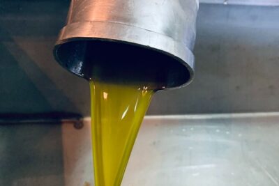 Small-Group Honey & Extra Virgin Olive Oil Tasting Tour in Crete - Idiosmos and the family pride since 1920