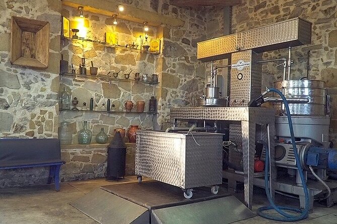 Small-Group Honey & Extra Virgin Olive Oil Tasting Tour in Crete - What to buy before you leave (and how to do it smart)