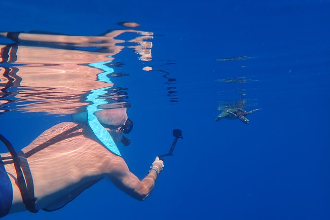 Small group snorkeling (5 people max): Turtles at 7:30am - FAQ