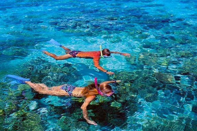 Small group snorkeling (5 people max): wrecks & tropical fishes at 1:00pm - Safety and current: how this tour handles real-water conditions
