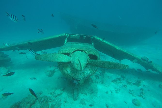 Small group snorkeling (5 people max): wrecks & tropical fishes at 1:00pm - The photo bonus: a real souvenir, not a gimmick