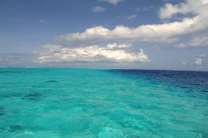 Small group snorkeling (5 people max): wrecks & tropical fishes at 1:00pm - From Marina Taina to the snorkel spot in about 10 minutes