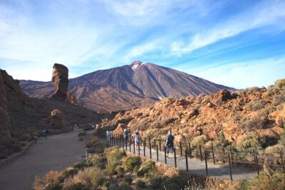 Small Group Teide National Park Volcanic and Forest Wonders - Price and what you’re really paying for at $78.64