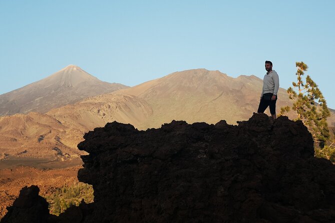 Small Group Teide National Park Volcanic and Forest Wonders - What the guide does (and what you should expect at each stop)