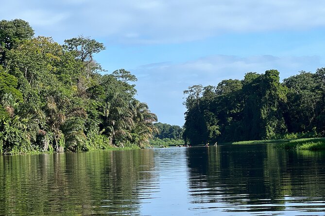 Small Group Tortuguero National Park Canoe Tour - 5:30am in Tortuguero feels like cheating the jungle