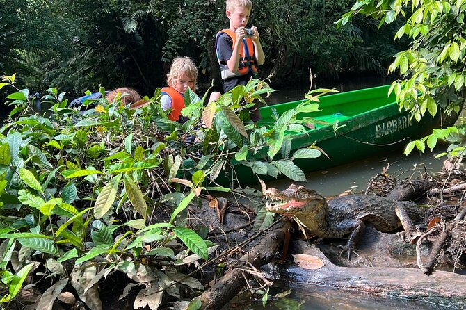 Small Group Tortuguero National Park Canoe Tour - Gear and comfort: dry-bag, binoculars, and how to not fight your own stuff