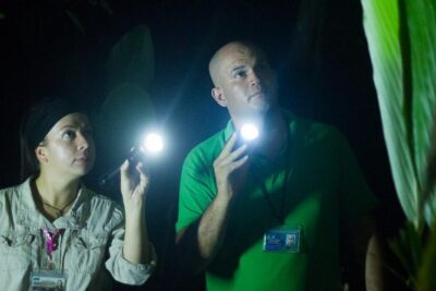 Small-Group Tortuguero National Park Night Walk in Costa Rica - Where you meet: the 50-meter start that keeps things simple