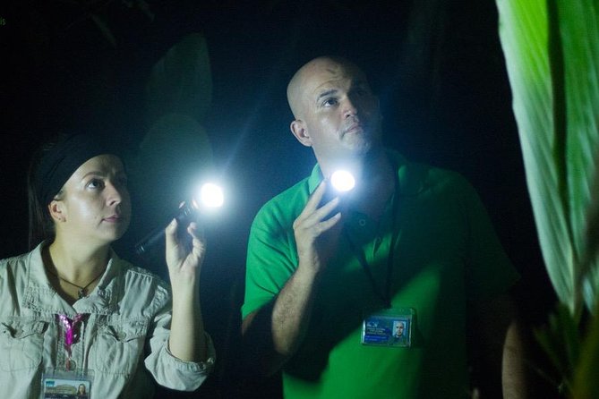 Small-Group Tortuguero National Park Night Walk in Costa Rica - Where you meet: the 50-meter start that keeps things simple