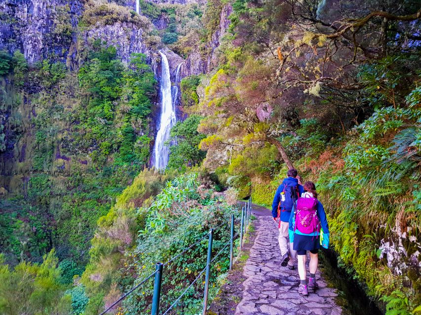 Small Group Walks Rabaçal 25 Fontes - Rabaçal to 25 Fontes: Why This Levada Walk Hits So Well