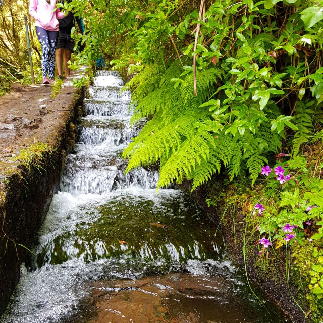 Small Group Walks Rabaçal 25 Fontes - The Real Itinerary: From Pickup to Forest Steps and the Tunnel