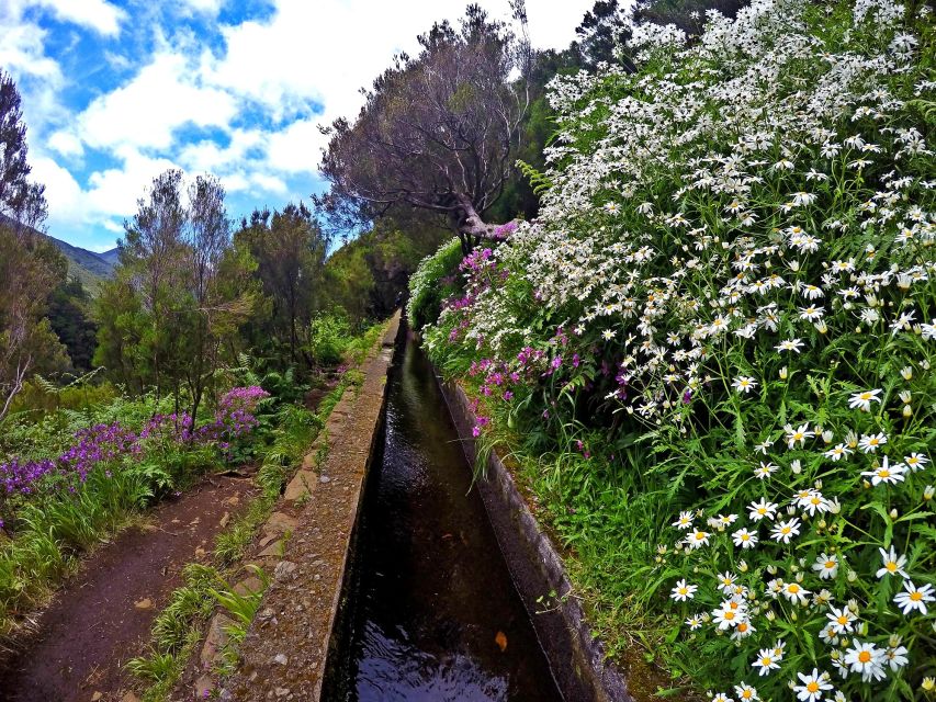 Small Group Walks Rabaçal 25 Fontes - Price and Value: Is $53 Worth It for a 4-Hour Walk?