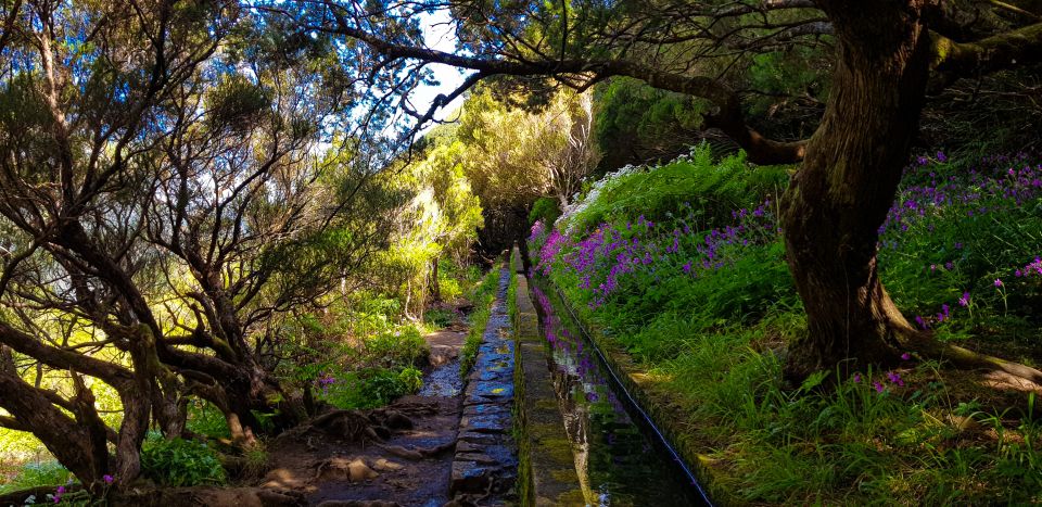Small Group Walks Rabaçal 25 Fontes - Who This Walk Suits Best (And Who Might Want Something Different)