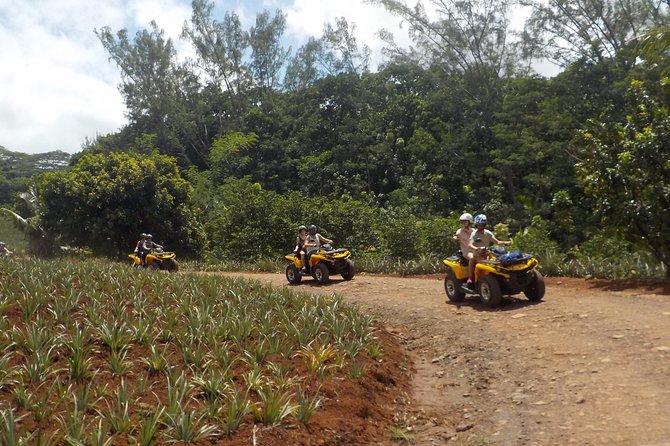 Small Quad Tour 2h30 Quad excursion in Moorea (single or two-seater) - Quick hits before you book