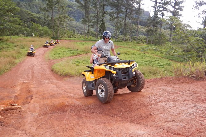 Small Quad Tour 2h30 Quad excursion in Moorea (single or two-seater) - Quad tour in Moorea: what you’re really buying