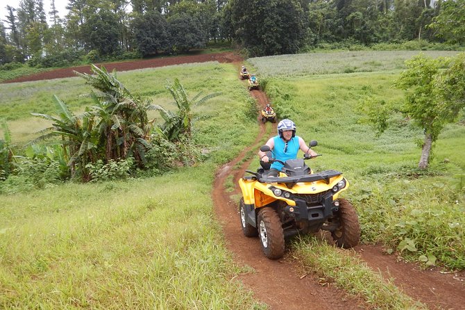 Small Quad Tour 2h30 Quad excursion in Moorea (single or two-seater) - Small-group dynamics: the difference between “fun ride” and “real tour”