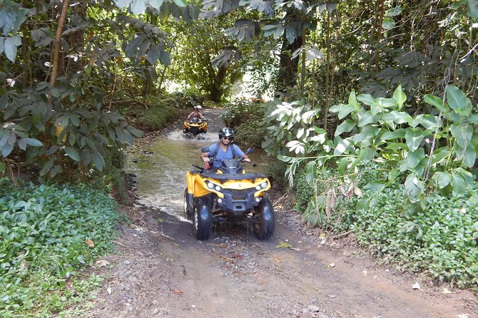 Small Quad Tour 2h30 Quad excursion in Moorea (single or two-seater) - What’s included (and why it matters on a quad)