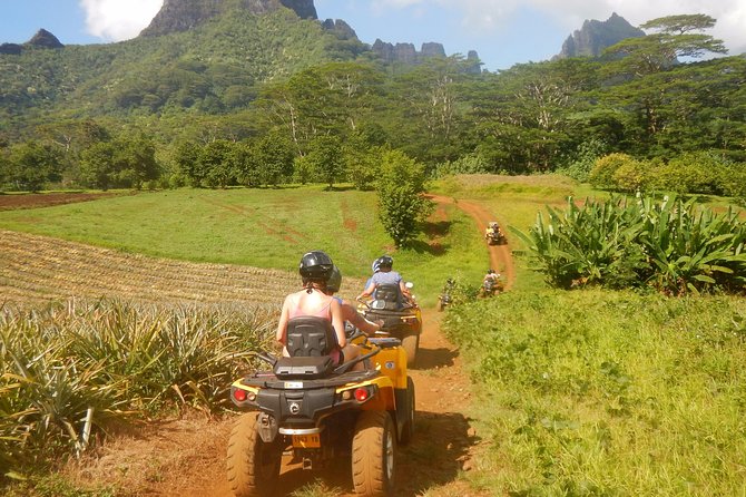 Small Quad Tour 2h30 Quad excursion in Moorea (single or two-seater) - Price and value: is $114.18 a good deal for 2.5 hours?