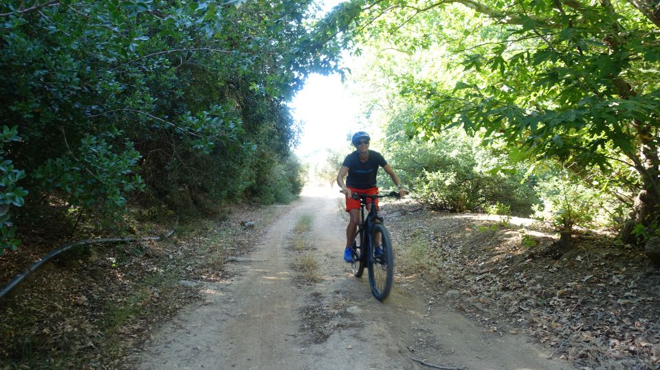 Small Villages and Cretan Nature. E-Bike tour - Olive groves and pastures: what you learn beyond the photos