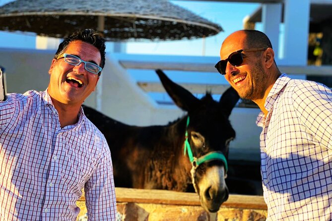 Smooth and Fun Taste of Santorini Private Tour - What $198.24 per person really covers