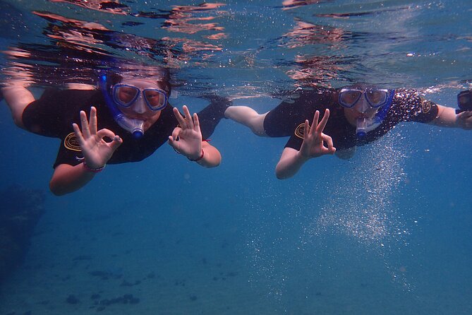 Snorkel in Lanzarote with Guide - Key Things I’d Actually Notice