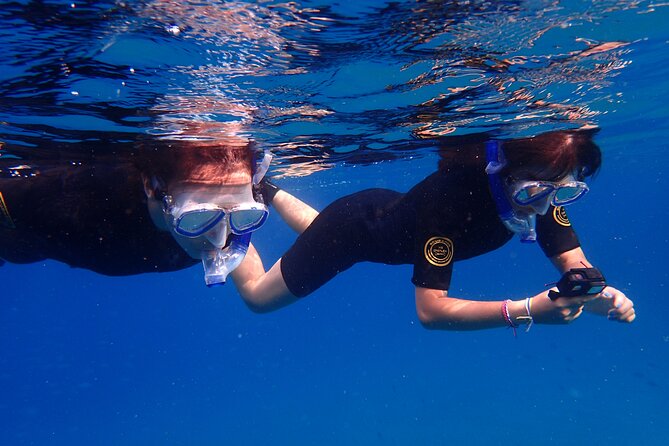 Snorkel in Lanzarote with Guide - Price check: what $66.37 buys you