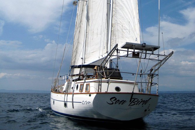 Snorkeling and Cruises - Quick Key Points to Know Before You Go
