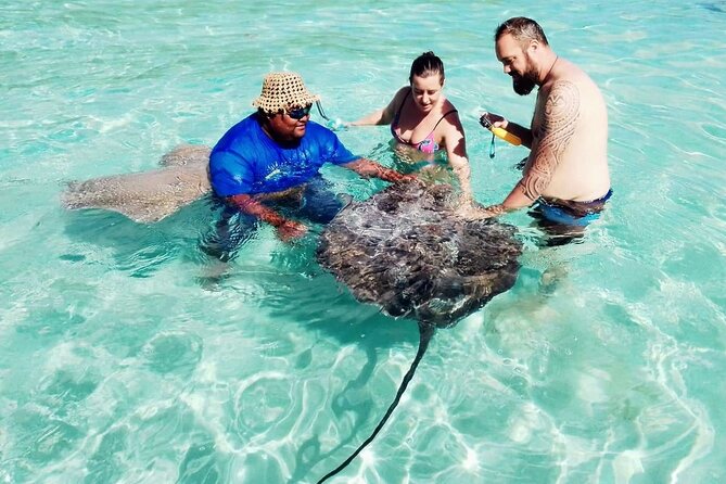Snorkeling excursion and encounter with marine fauna in Moorea - Price and value: is $131.18 worth it for six hours?