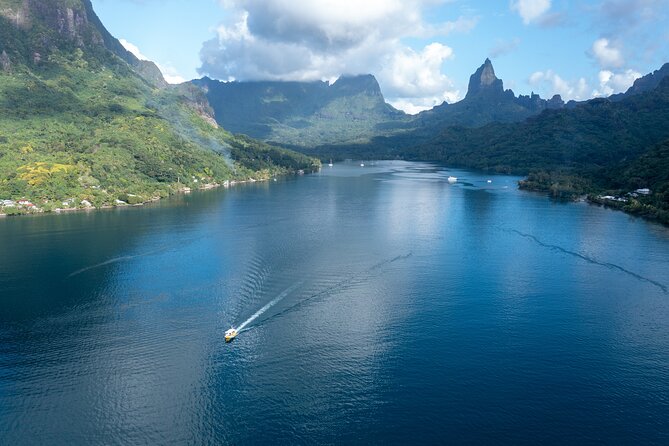 Snorkeling excursion and encounter with marine fauna in Moorea - Snorkeling stops for real wildlife: stingrays, turtles, and reef sharks