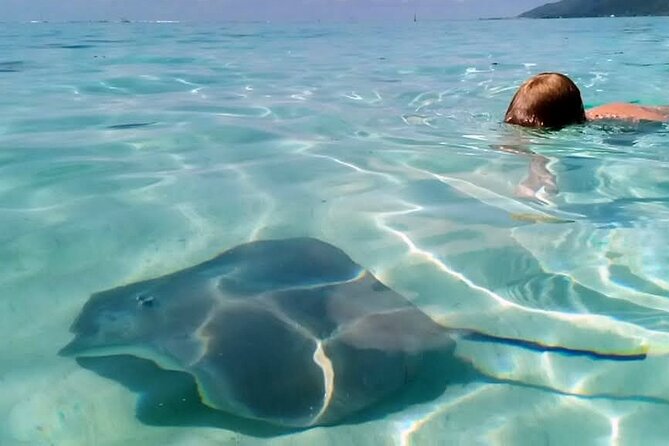 Snorkeling excursion and encounter with marine fauna in Moorea - Lunch on a motu-style spot: the reason this tour feels different