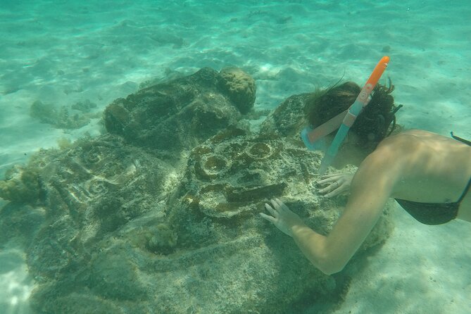 Snorkeling excursion and encounter with marine fauna in Moorea - Gear, swim comfort, and the metal ladder reality