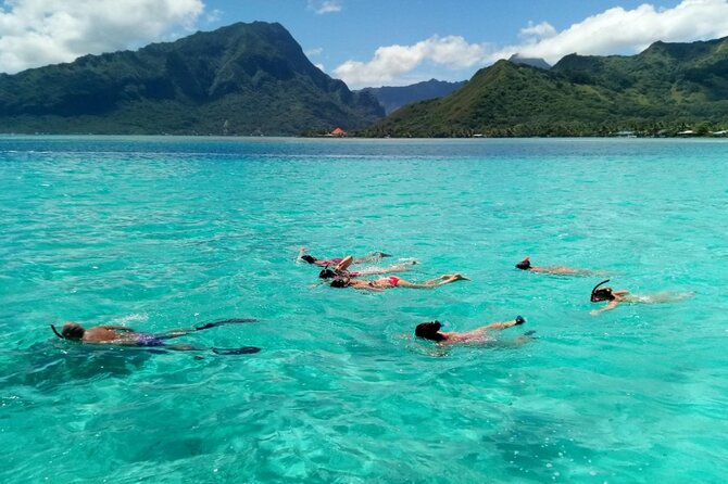 Snorkeling excursion and encounter with marine fauna in Moorea - Guides make the difference: Michel, Yo, and Dex/Dexter energy