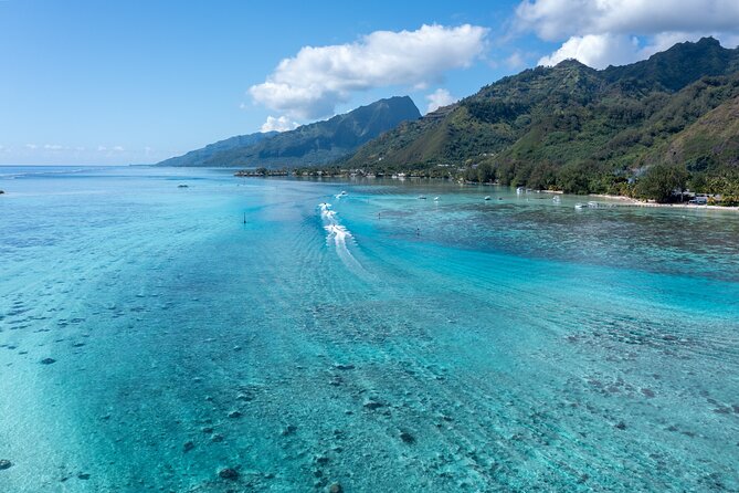 Snorkeling excursion and encounter with marine fauna in Moorea - Getting started at 9:00am: meeting point and what to plan around
