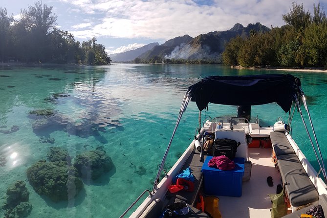 Snorkeling excursion, discovery of the lagoon, small group. - Key takeaways before you go