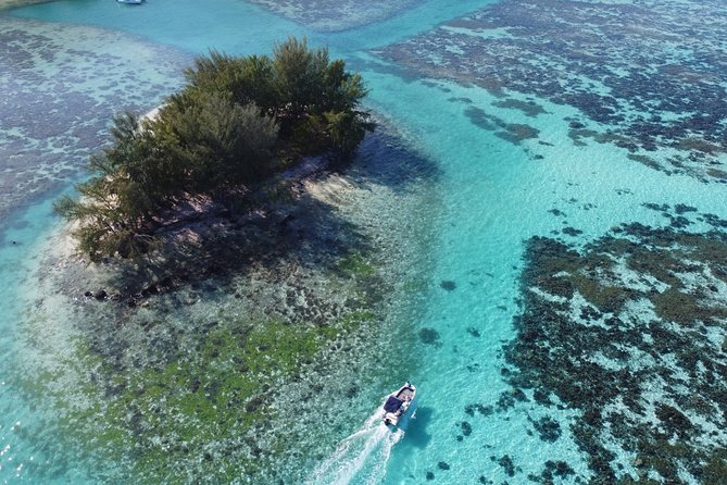 Snorkeling excursion, discovery of the lagoon, small group. - Stop-by-stop: the west and north lagoon highlights (what you’re aiming to see)