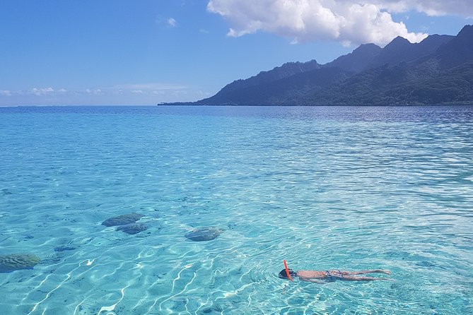 Snorkeling excursion, discovery of the lagoon, small group. - Why this tour’s small-group rule is such good value