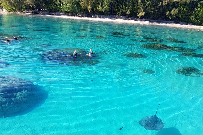 Snorkeling excursion, discovery of the lagoon, small group. - The vibe: instruction, reassurance, and a flexible route