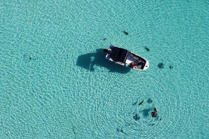 Snorkeling excursion, discovery of the lagoon, small group. - Who should book this Moorea lagoon snorkeling outing?