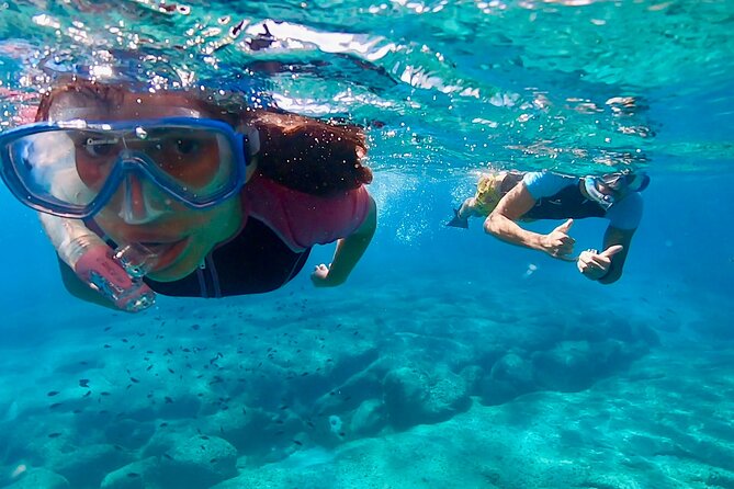 Snorkeling Experience to discover the dolphin inside you! - Where You Start in Cala Gonone (and Why It Matters)