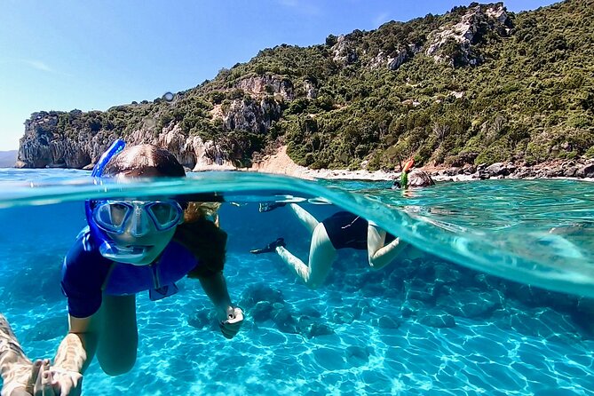 Snorkeling Experience to discover the dolphin inside you! - The 2.5-Hour Flow: Gear Up, Then Swim the Coast