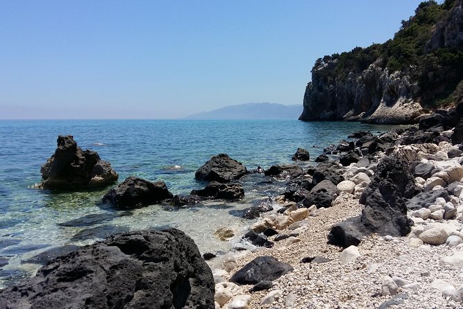 Snorkeling Experience to discover the dolphin inside you! - Timing Options: 10:30 Start vs Early Morning Quiet