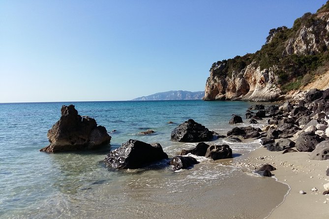 Snorkeling Experience to discover the dolphin inside you! - The Caves Along the Coast: Stalactites, Formations, and Cave Timing