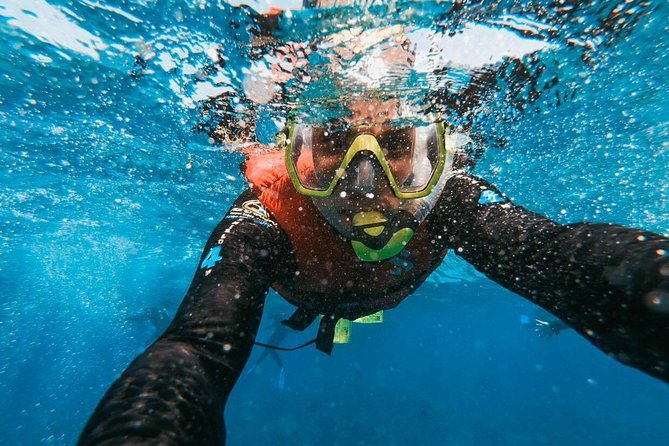 Snorkeling in Gran Canaria with Hotel Pick-up - Hotel pickup at 8:00 am: why it matters more than you think