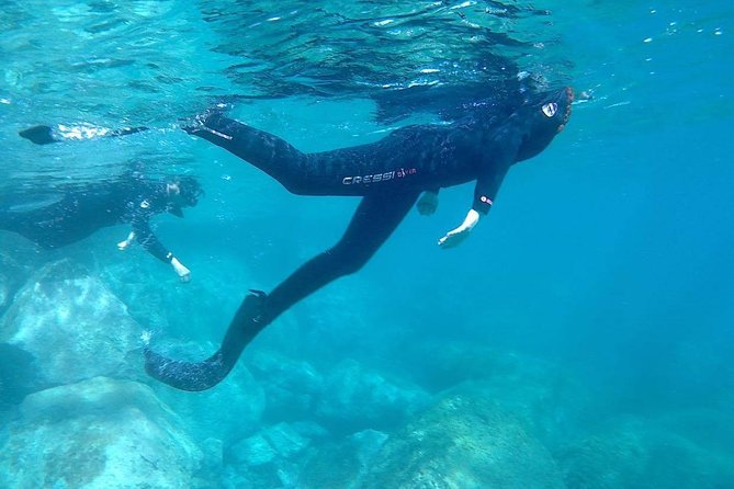 Snorkeling in Gran Canaria with Hotel Pick-up - In-water guidance that keeps first-timers calm