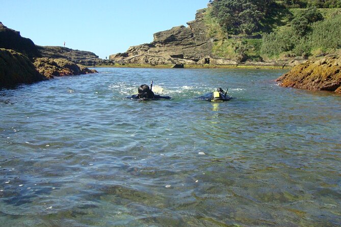 Snorkeling in Vila Franca do Campo - What to bring (and what you can skip)