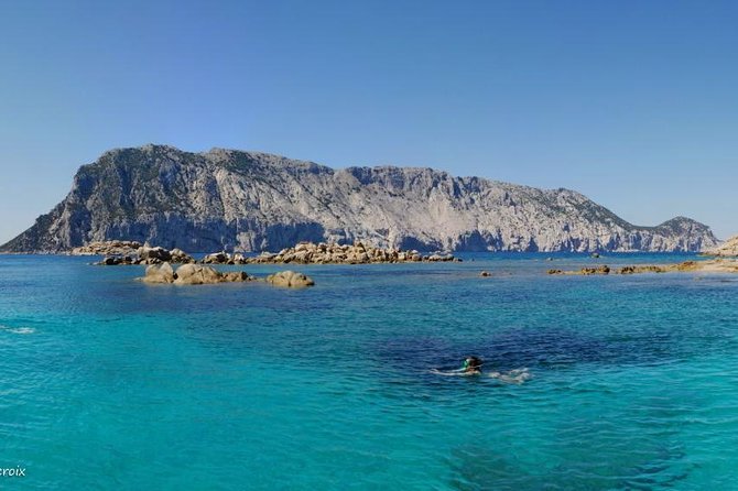 Snorkeling marine protected area Tavolara - Tavolara Marine Protected Area: why this stretch is special