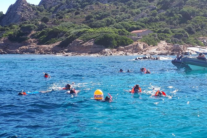 Snorkeling marine protected area Tavolara - Stop-by-stop snorkeling: Crisso, Molara pools, Tavolara wall, and Punta Spalmatore