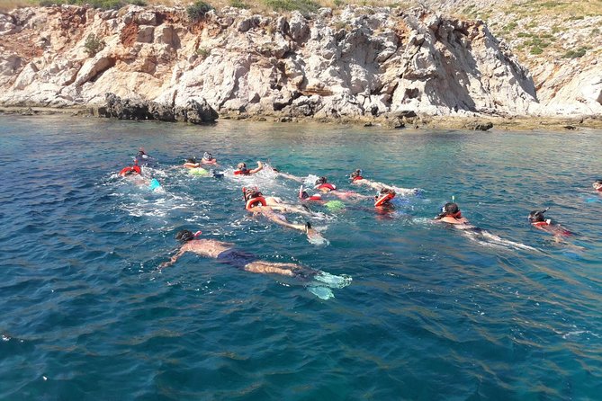 Snorkeling marine protected area Tavolara - After the swim: what happens in the last stretch