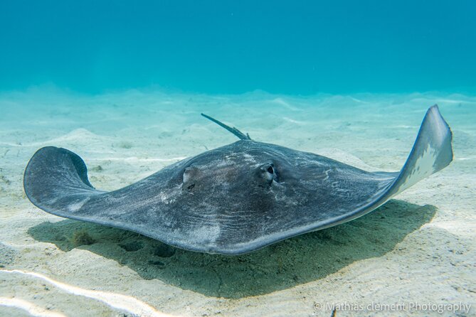 Snorkeling picnic in 4h30 with lunch in Tahiti - Meeting point near Faaa: getting on the right boat without stress