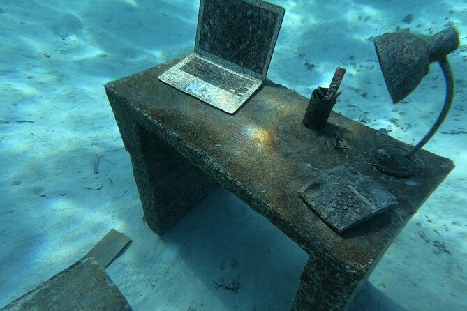 Snorkeling picnic in 4h30 with lunch in Tahiti - Dolphin sightings on the way out: a fun warm-up