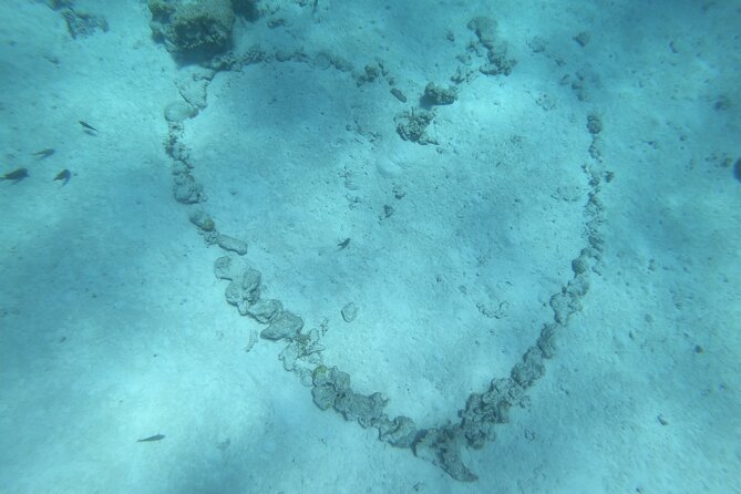 Snorkeling picnic in 4h30 with lunch in Tahiti - Snorkel Stop 1: the Aquarium wrecks and coral heart vibe